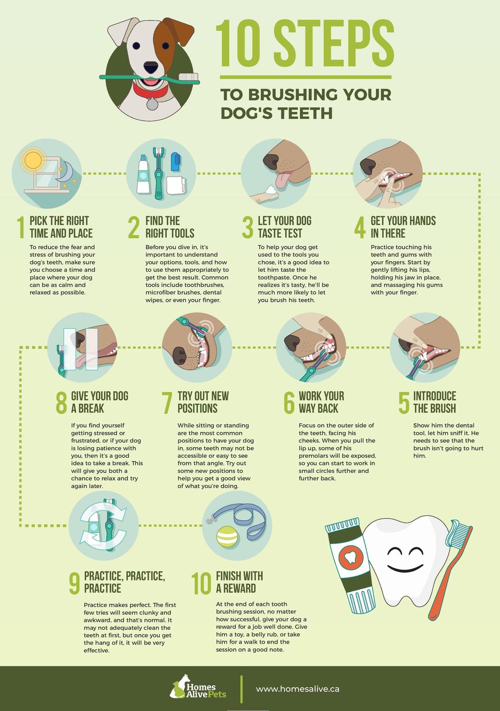 10 Steps to Brushing your dog s Teeth-page-001