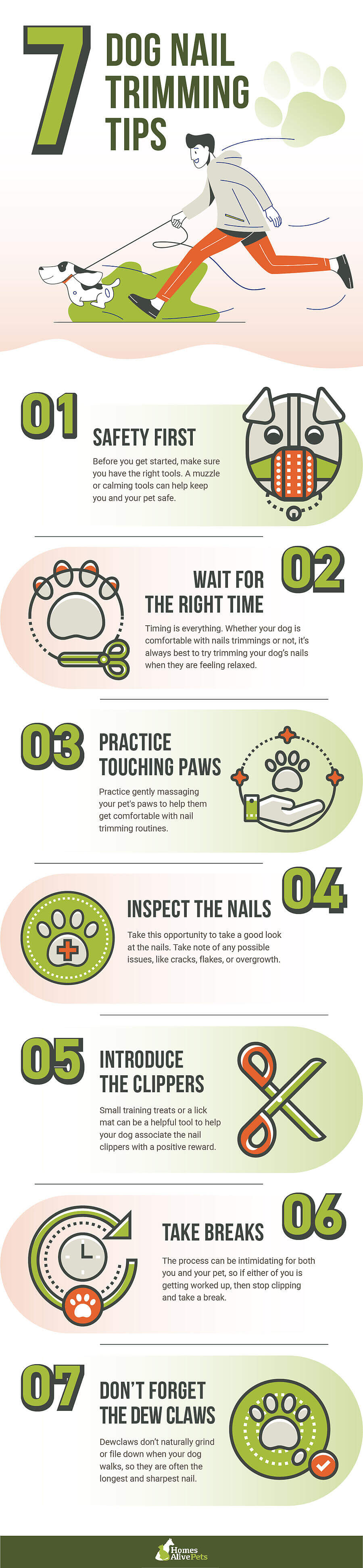 7 Dog Nail Trimming Tips - updated