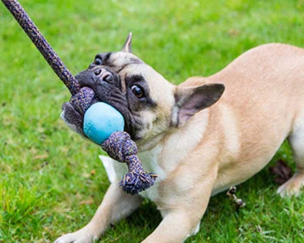 Beco Pets Ball with Rope