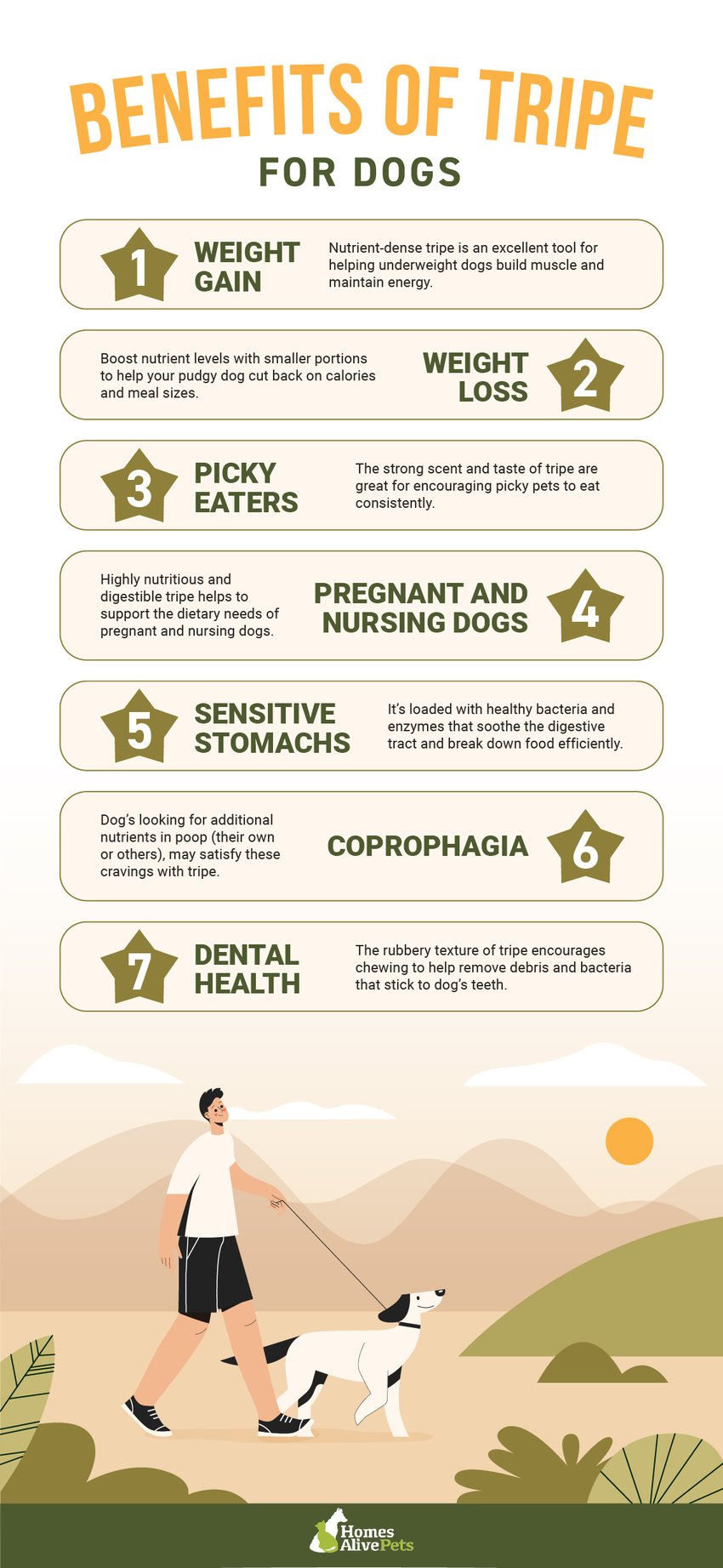 Benefits of Tripe for Dogs