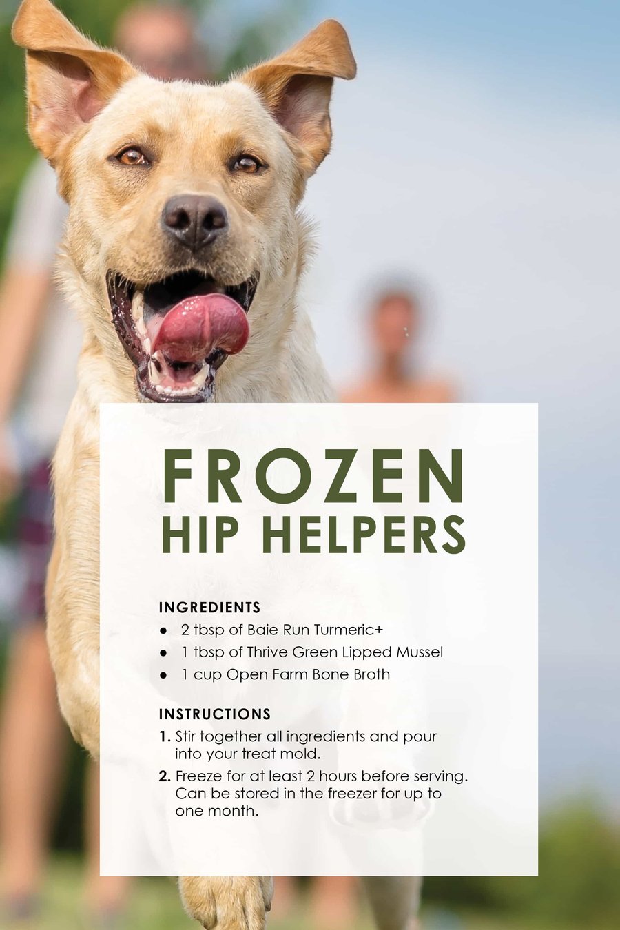 dog_treat_recipes14
