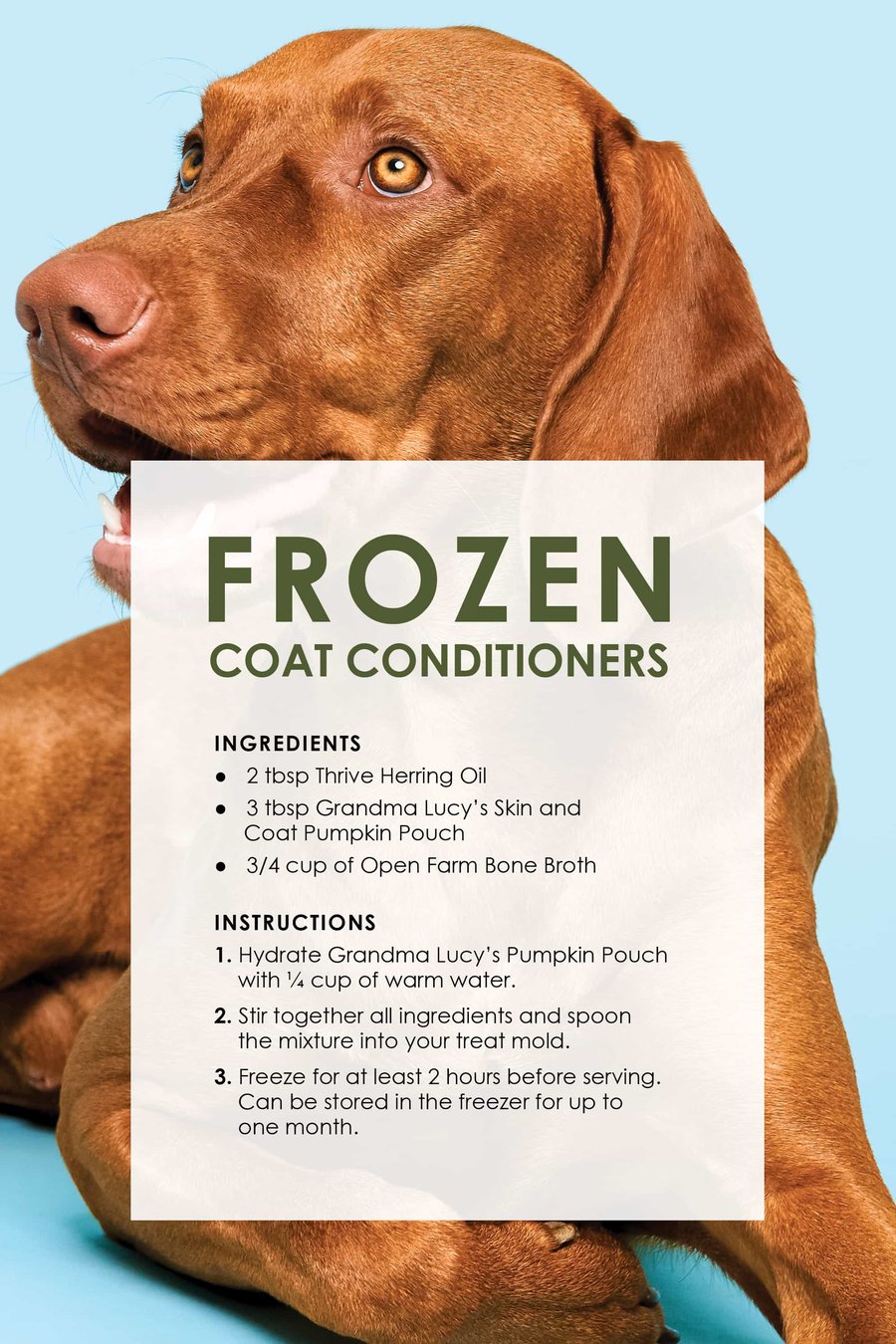 dog_treat_recipes7