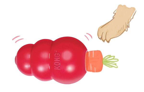 what is safe to put in a kong for a puppy