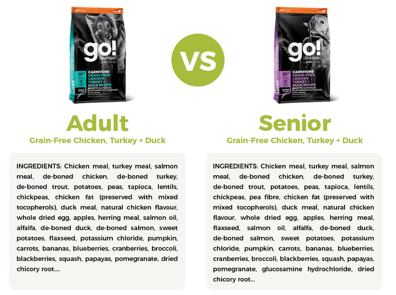 soft food for older dogs