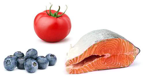 food for older dogs