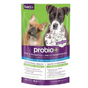 digestive supplements for dogs