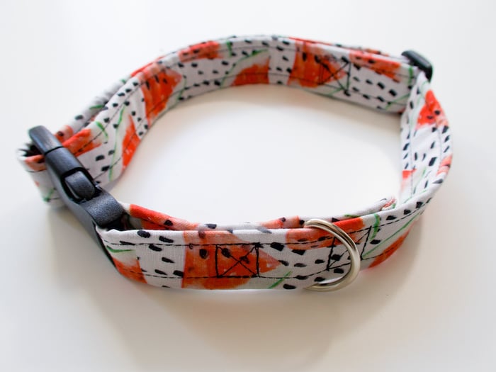 DIY-dog-collar