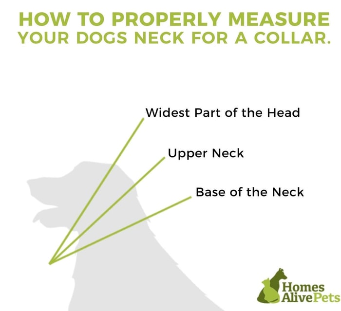 Dog collar measurements