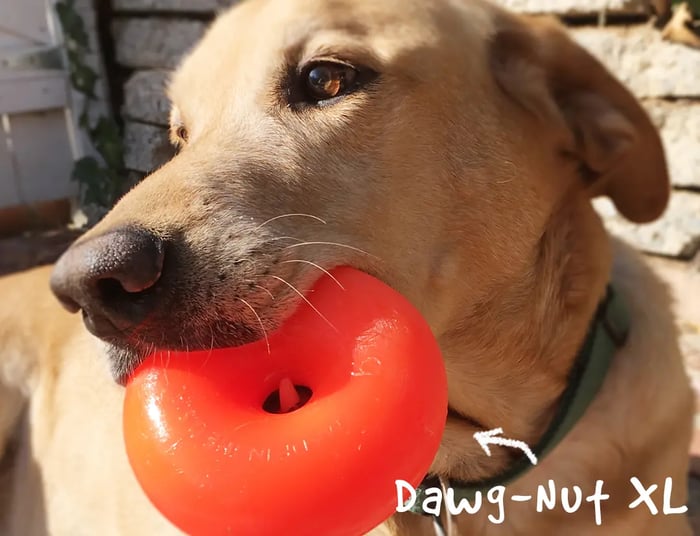 RuffDawg Dawg-Nut-XL