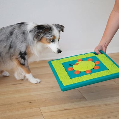 outward-hound-nina-ottosson-multipuzzle-dog-toy-with-dog-2