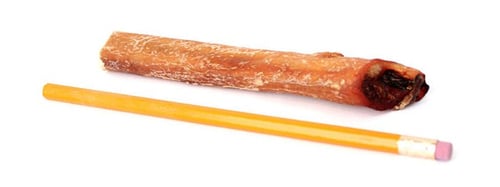 Buy Your Dog’s Bully Stick According to Size
