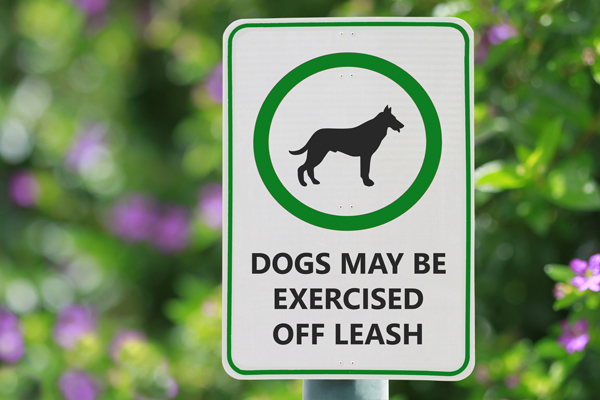 what do you do if an off leash dog approaches wag