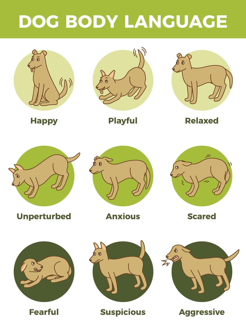 dog-body-language-updated