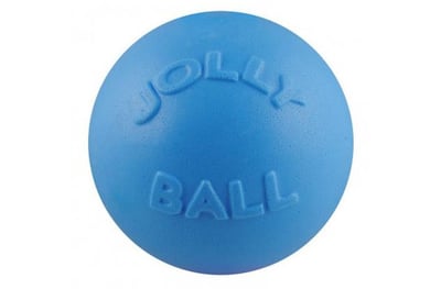 jolly-pet-bounce-play-ball