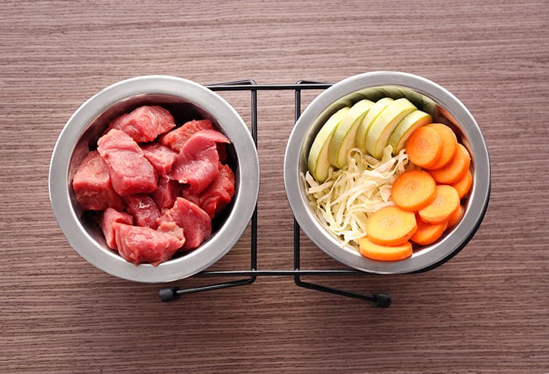 Are Cats Omnivores? An Honest Look at Vegan Cat Food