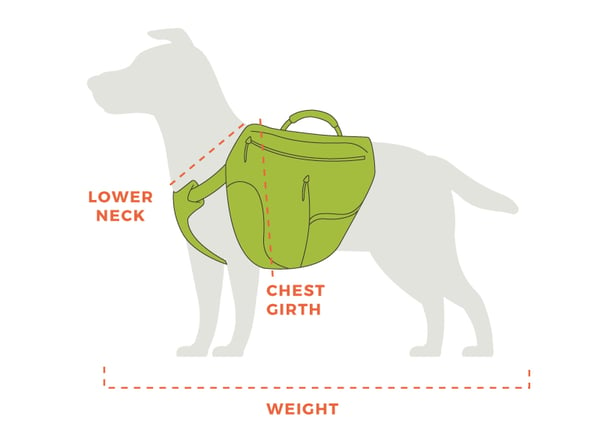 best pet backpacks