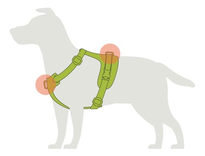 Dog Harness