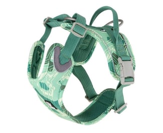 best dog harness for puppies