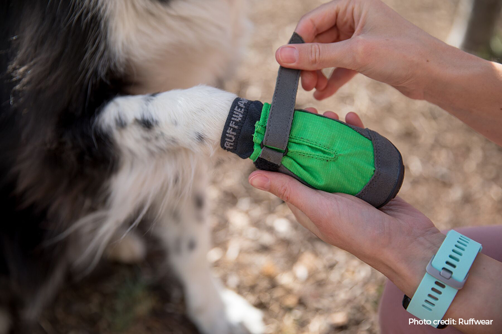best dog shoes for hiking