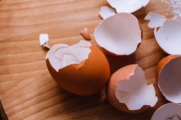 are eggs safe for dogs