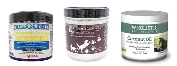 can dogs have coconut oil
