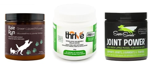 green-lipped-mussels-powder-supplements-dog-2