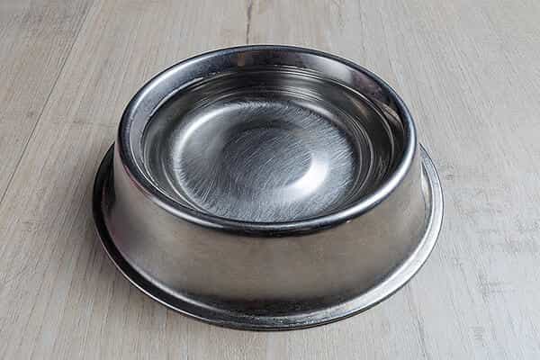 dog-water-bowl