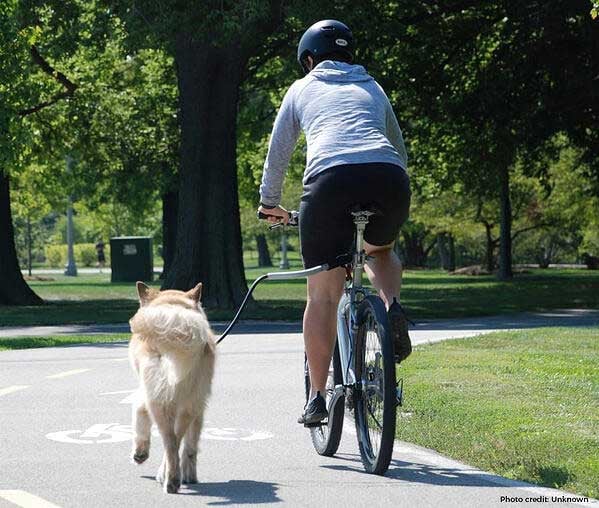 Go for a walk