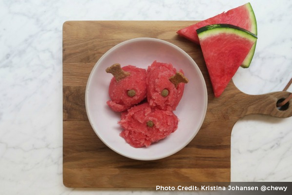 watermelon-sorbet