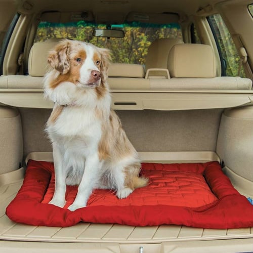 dog travel seats for car