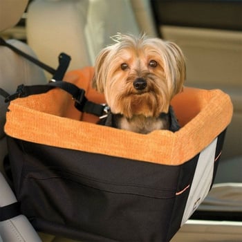 Best Dog Car Seats Tips For Road Trips With Dogs - Best Car Seat For Small Puppy Best Dog Car Seats Tips For Road Trips With Dogs - Best Car Seat For Small Puppy