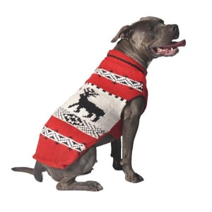 chilly-dog-reindeer-sweater_1
