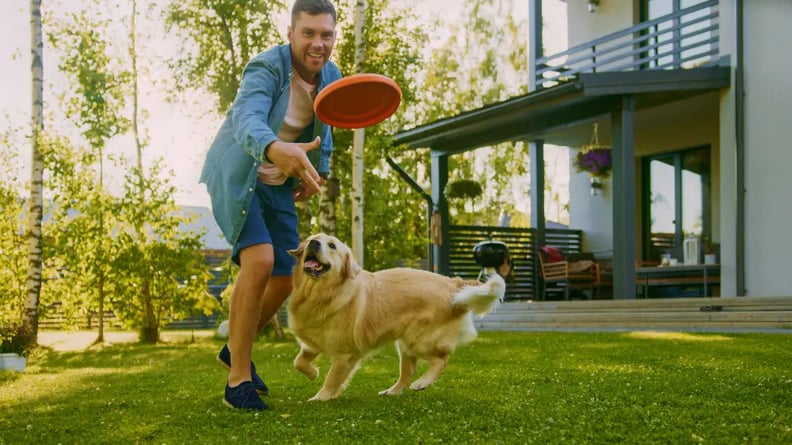 dog-playing-fetch-with-frisbee