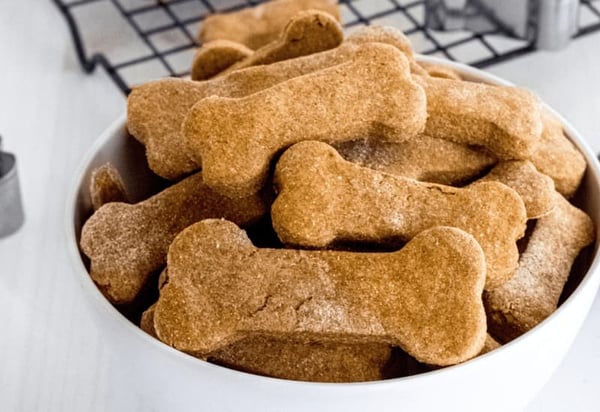 top 10 dog treat recipes