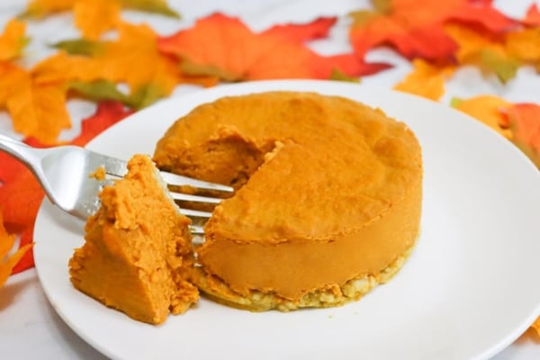 pumpkin dog food recipe