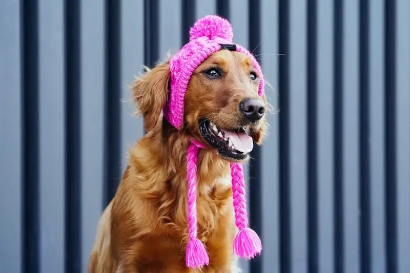 CP_FW2020_PolarPomPom_Lifestyle_1