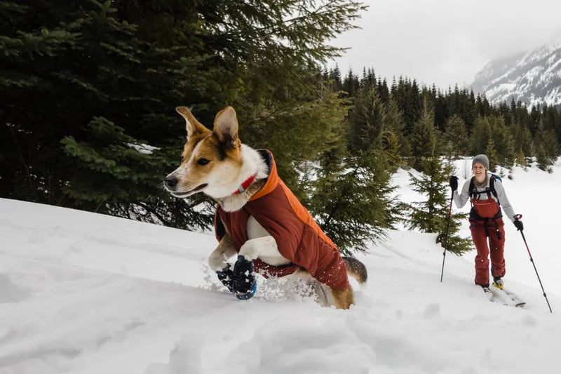 Ruffwear Vert Jacket Orange