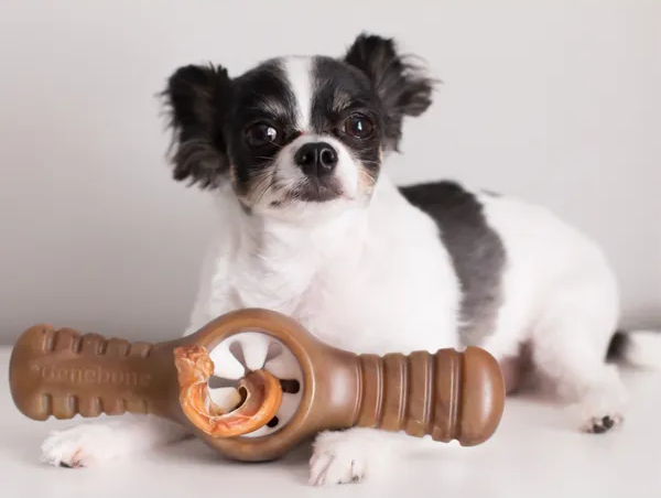 benebone bully stick holder