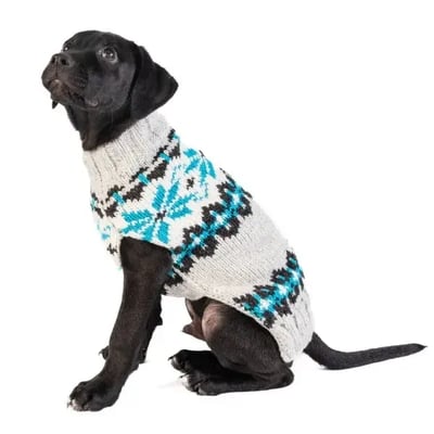 chilly-dog-frosty-sweater