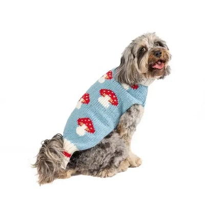 chilly_dog_mushroom_sweater