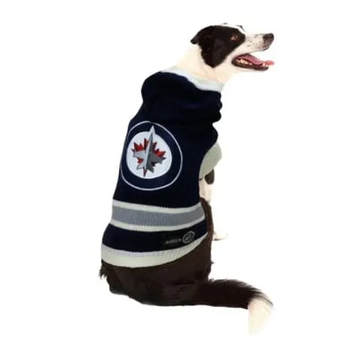 togpetwear-sweater-jets
