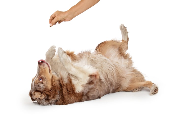 dog-roll-over-hand-signal