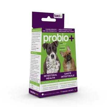 probio_dog