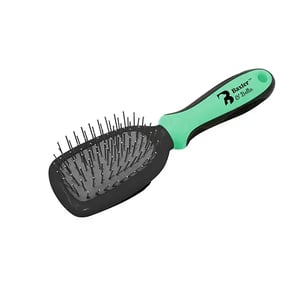 baxter-bella-brush-pin-and-bristle-cat