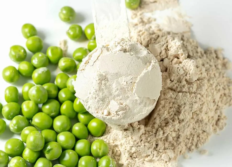 Pea-Protein