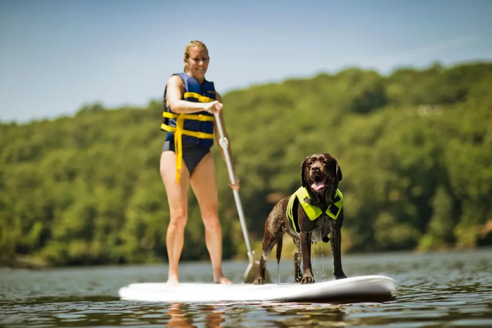 dog-paddleboarding