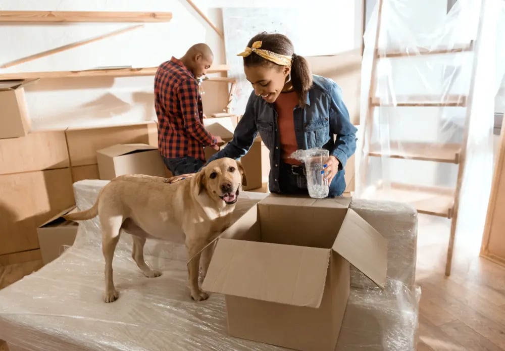 dog-helping-owners-pack-for-move