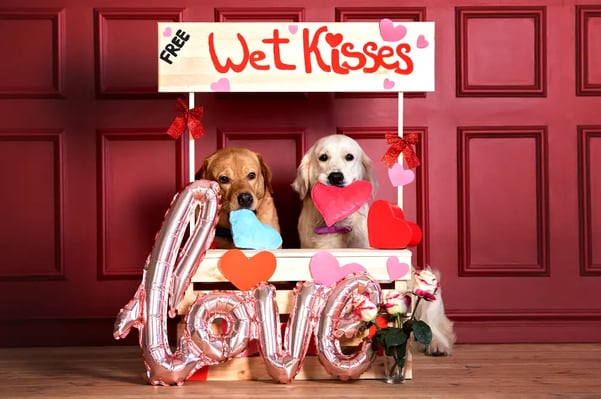 dog-kissing-booth-photoshoot