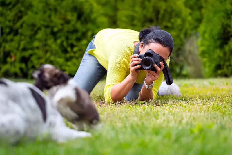 pet-photography-angles