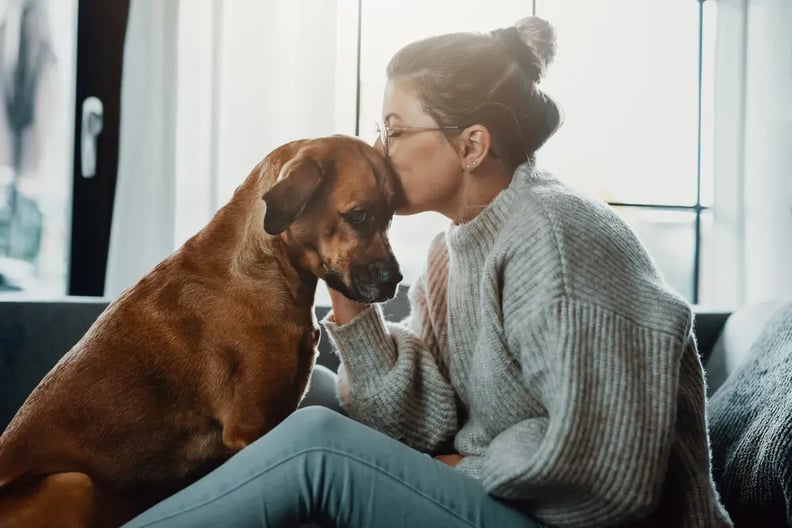 clingy-dog-getting-a-kiss